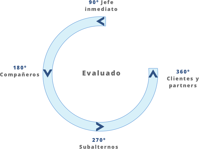 Flowchart sub-tipos de evaluacion 360