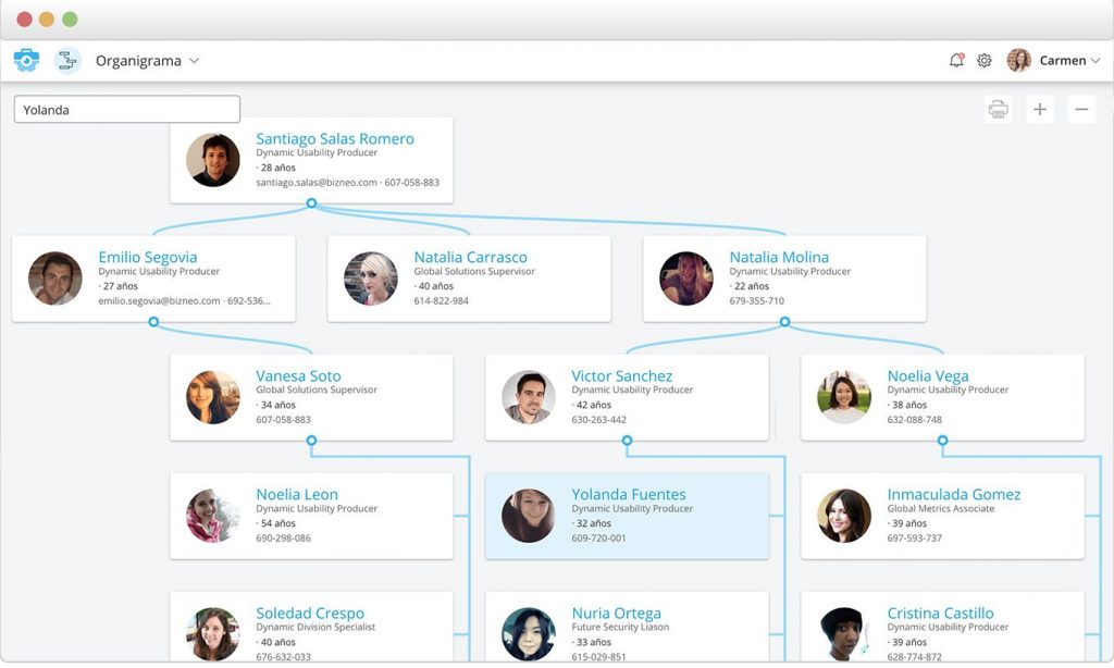 software de organigramas y base de datos para recursos humanos