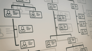 Tipos de organigramas de una empresa