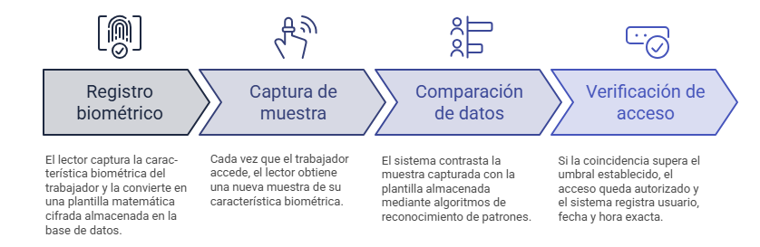 Cómo funciona un sistema de control biométrico