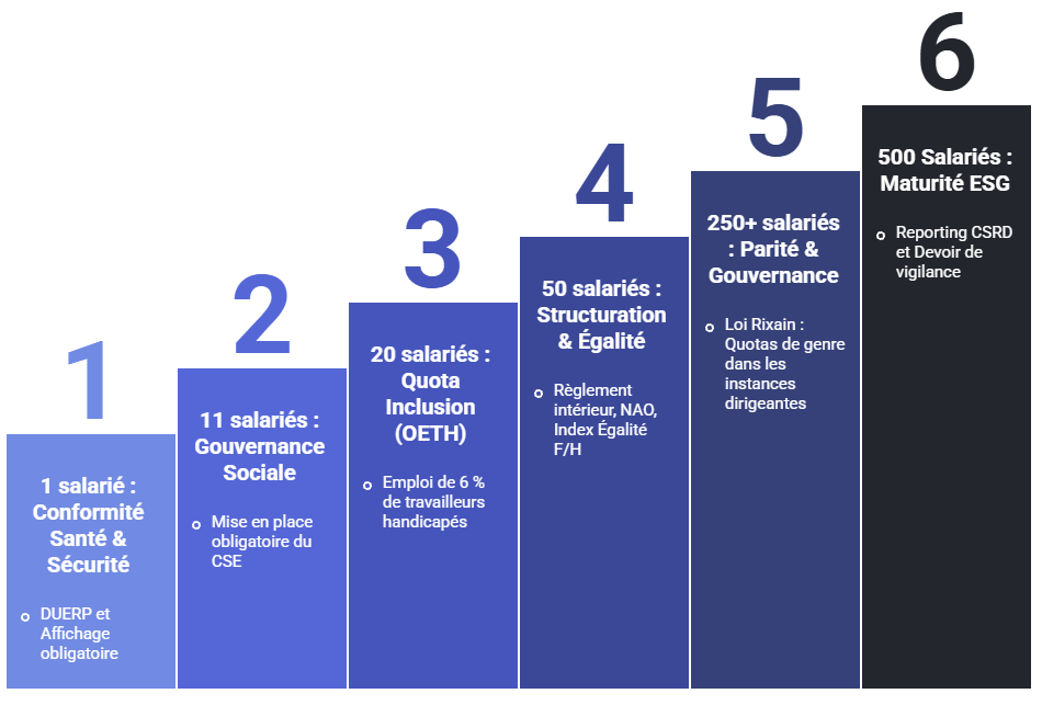 Infographie des obligations légales par seuil d'effectif en entreprise